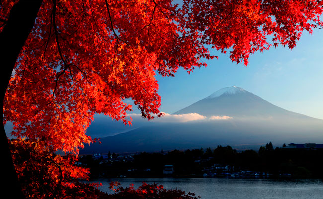 Fotomurales monte fuji paredes